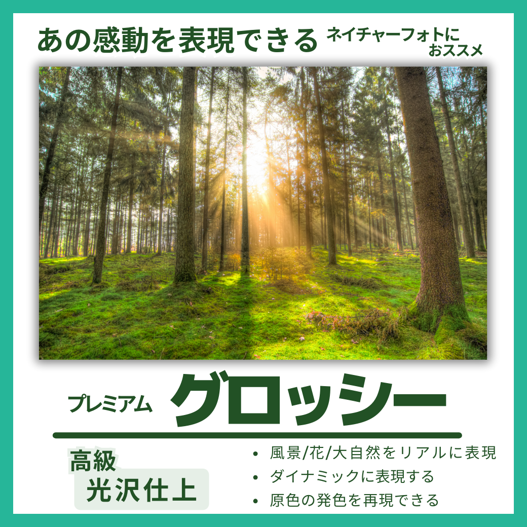 プレミアムグロッシーの面質イメージ