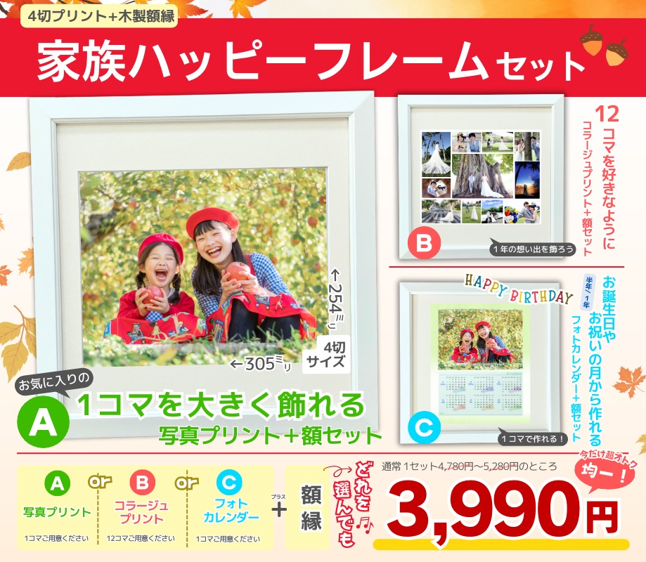 ちょっと大きく飾ると楽しい！ 大きな写真＆額縁セット | サトーカメラ