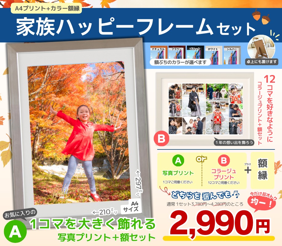 ちょっと大きく飾ると楽しい！ 大きな写真＆額縁セット | サトーカメラ