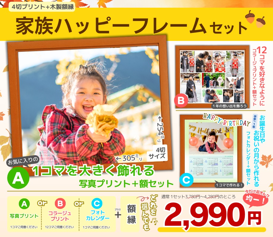 ちょっと大きく飾ると楽しい！ 大きな写真＆額縁セット | サトーカメラ