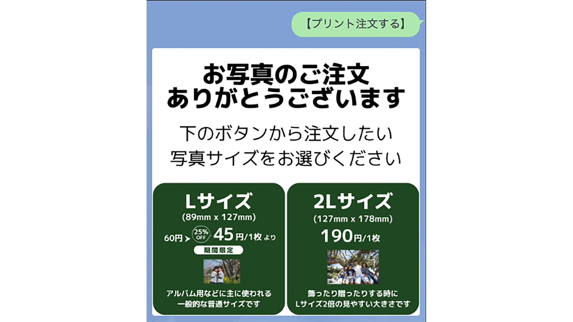 Lサイズと2Lサイズを選ぶ画面のスクリーンショット