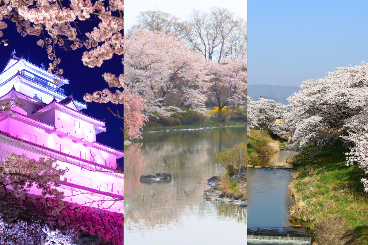 4月18日 夜桜撮影ツアー