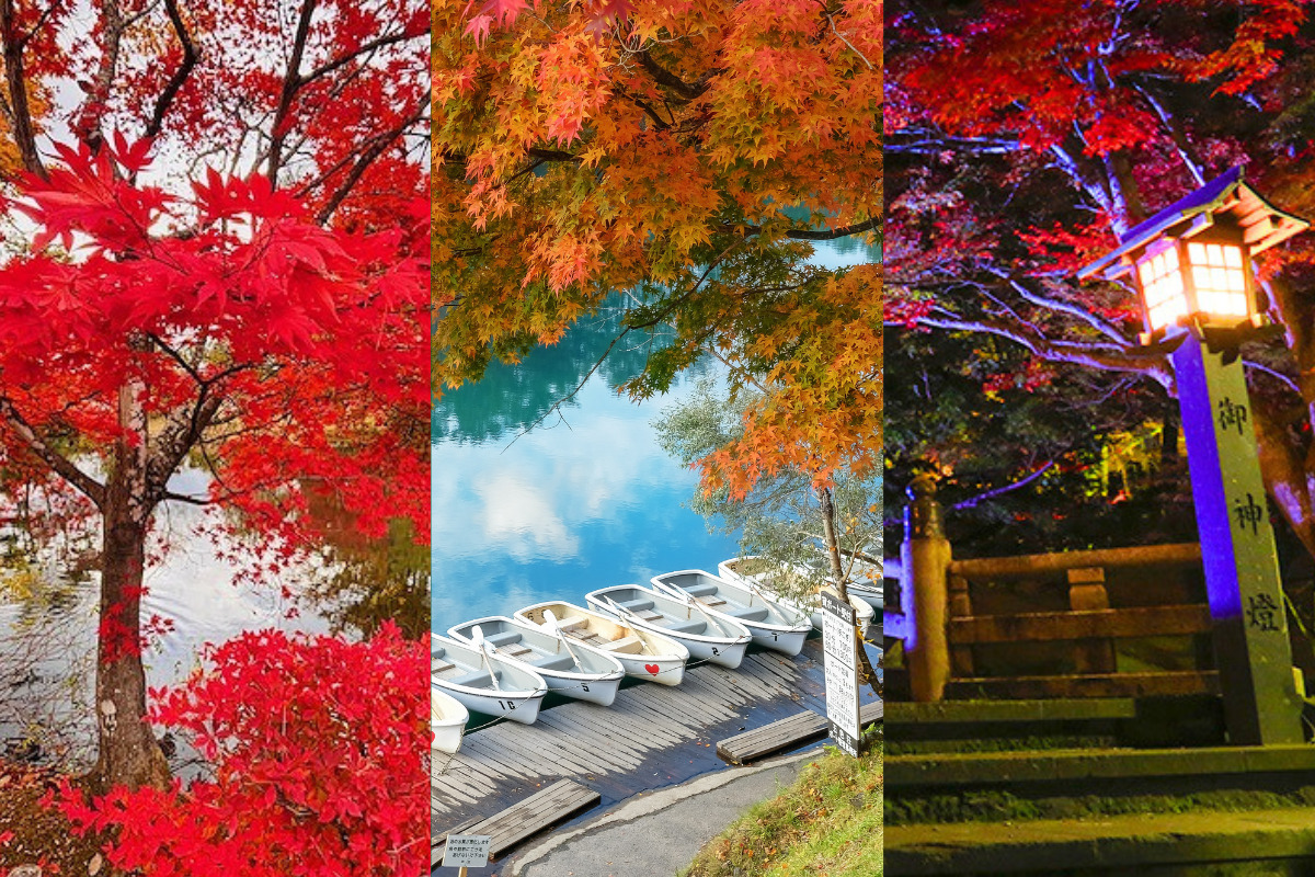 10月24日  秋の福島を巡る 撮影ツアー